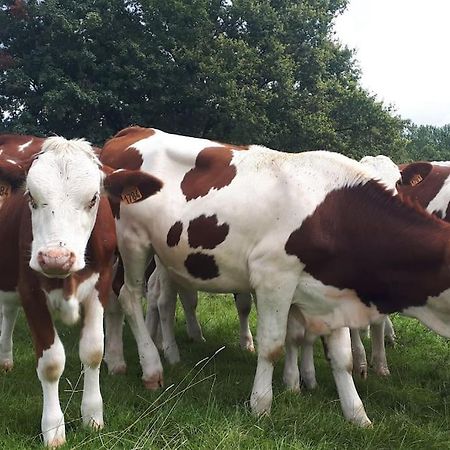 Gite A La Ferme, Avec Animaux, Fromages Et Nature Neuville-les-Decize 외부 사진