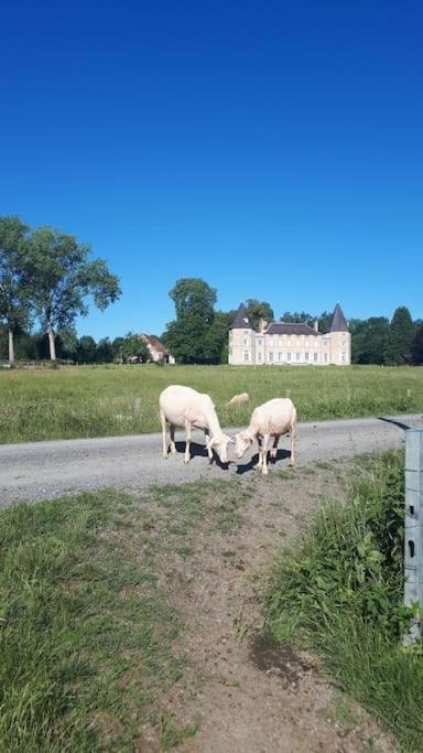 Gite A La Ferme, Avec Animaux, Fromages Et Nature Neuville-les-Decize 외부 사진